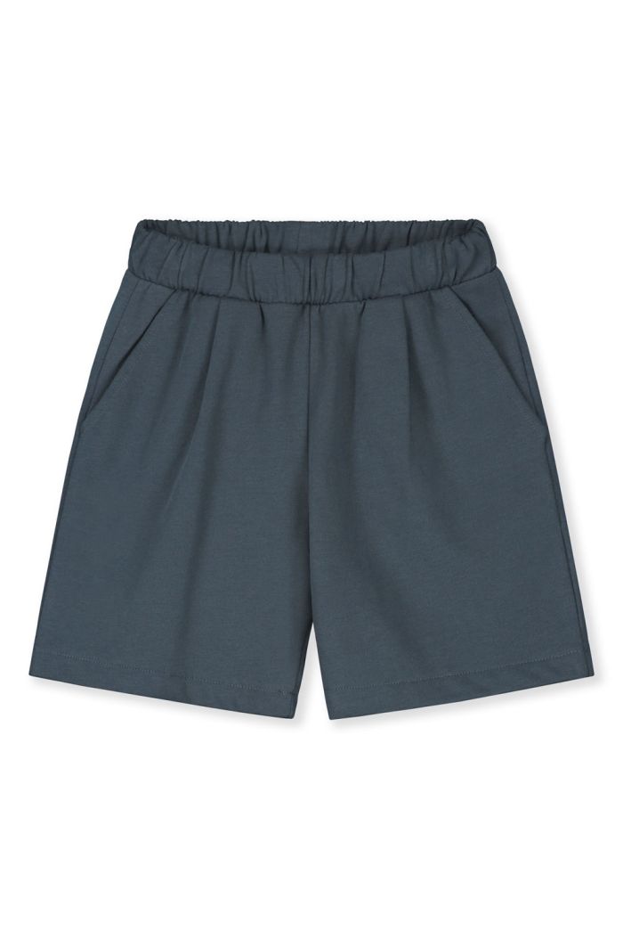 Gray Label Bermuda Shorts Blue Grey_1