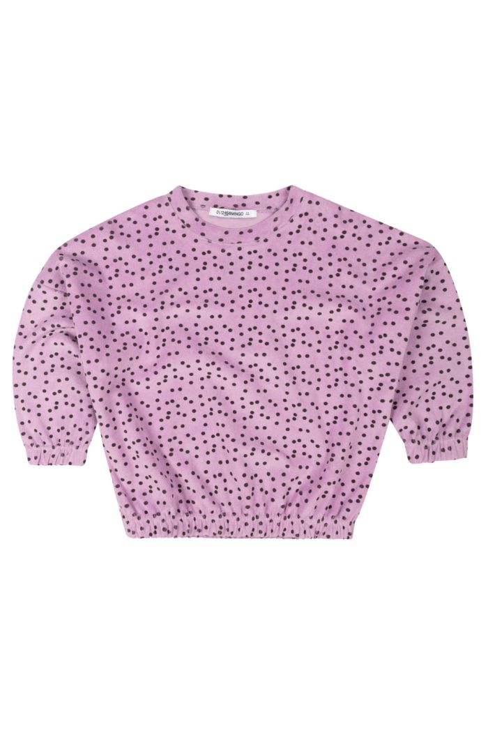 Mingo Longsleeve / Sweater Violet Dot_1