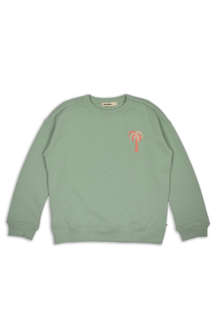 Ammehoela Rocky.63 Sweaters Mint Green_1