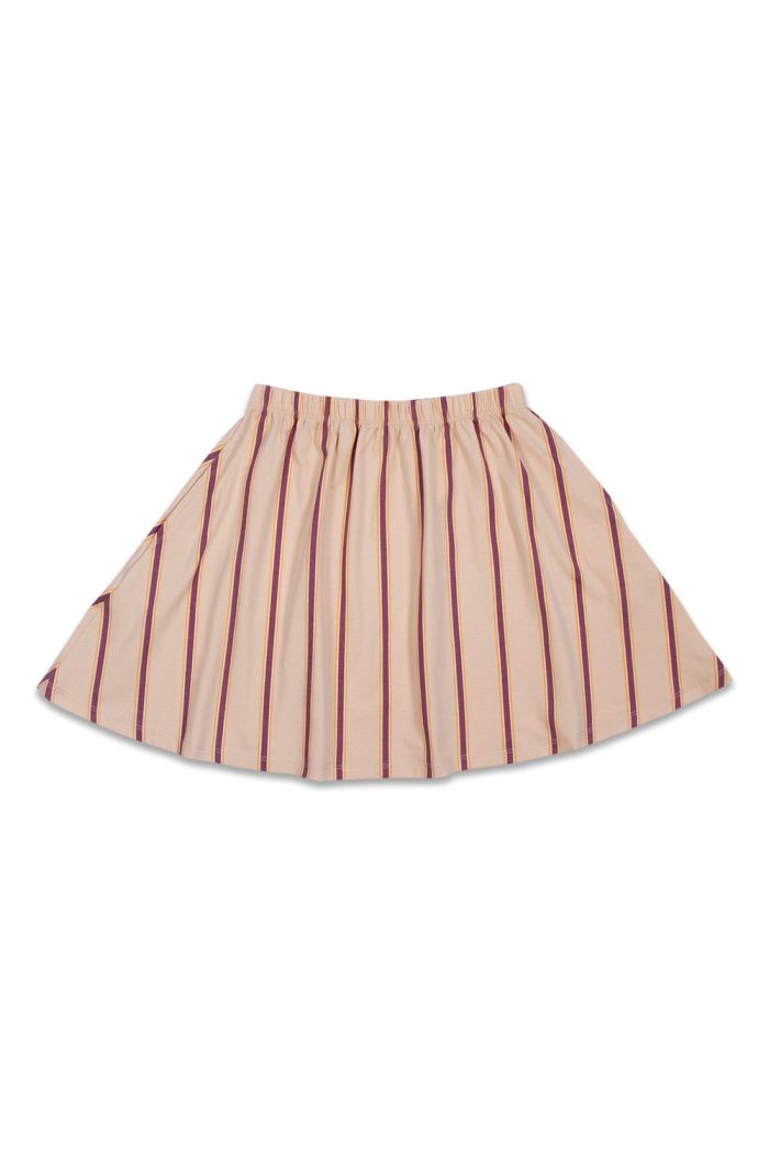Petit Blush Mini Skirt Stripes All-over print_1