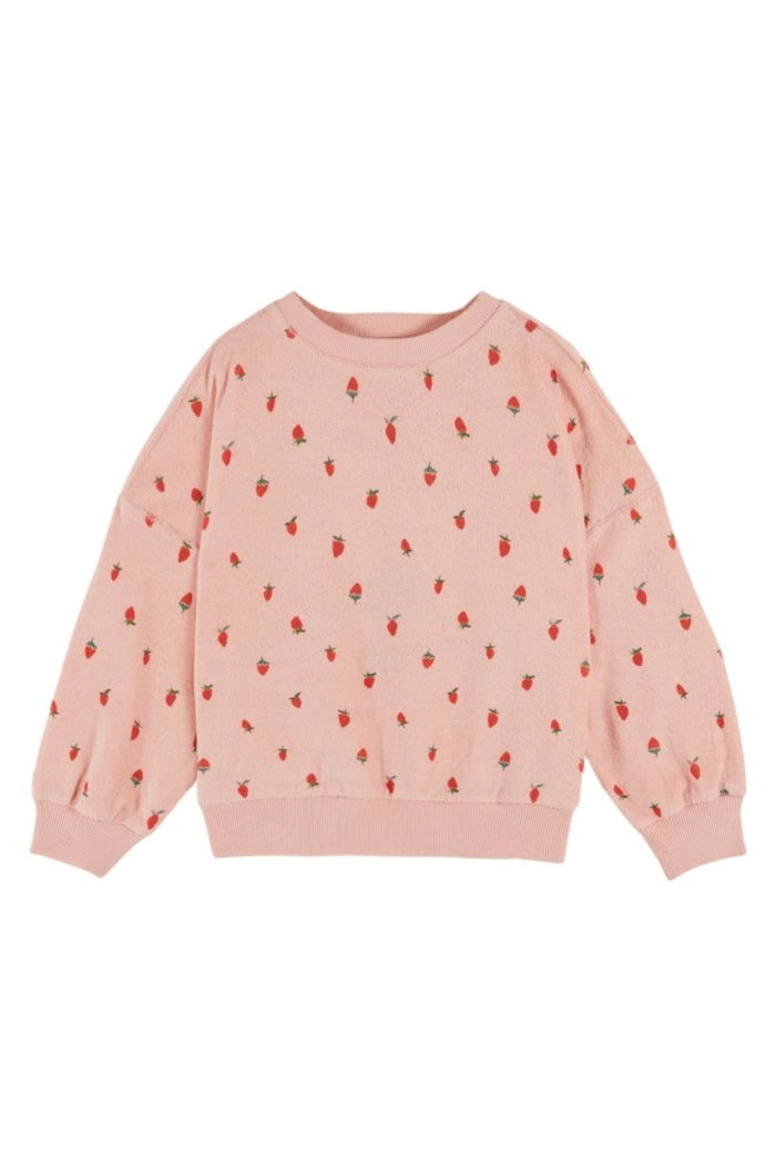 Emile et Ida Sweat Shirt Eponge Imprime Ao Guariguette_1