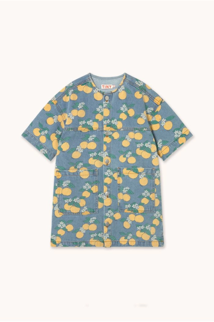 Tinycottons Denim Dress Oranges_1