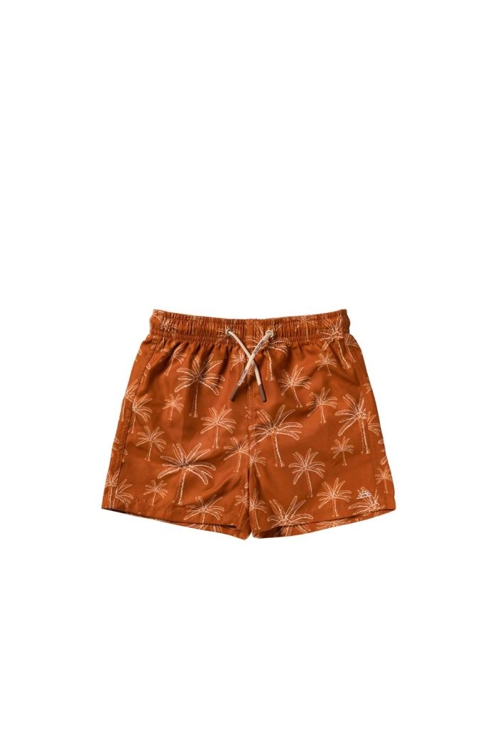 Salted Stories Palms | Swim Shorts Bombay Brown_1