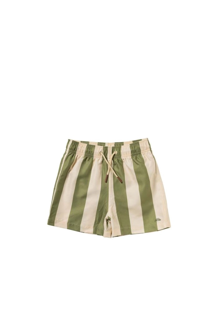 Salted Stories Wide Stripe | Swim Shorts Iguana_1