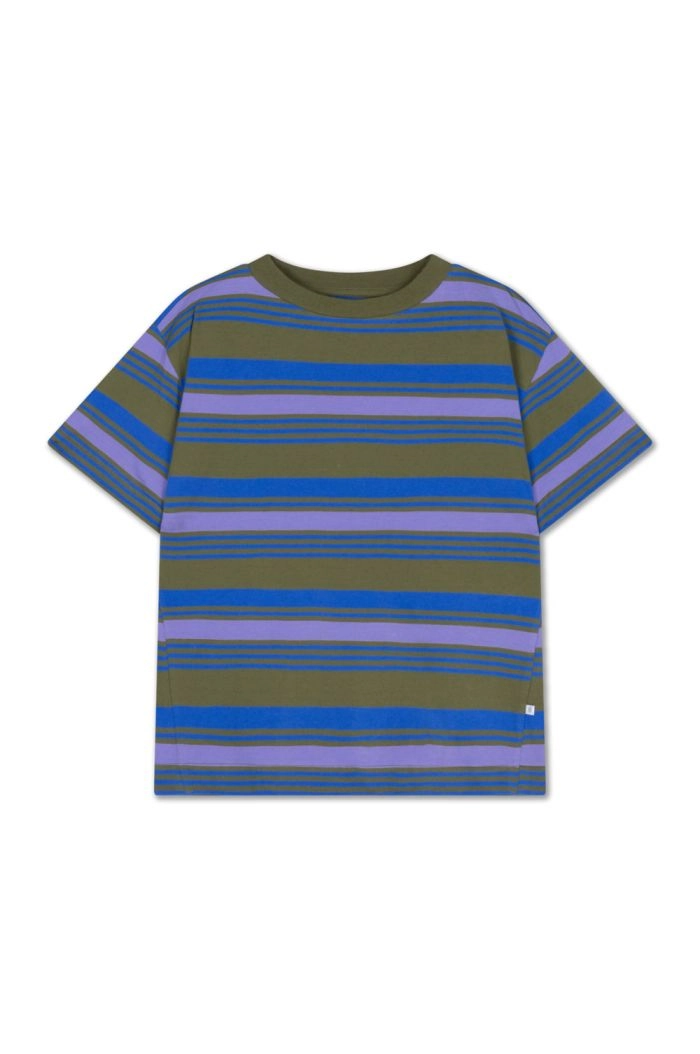 Repose AMS 55. Tee Shirt Khaki Bloom Stripe_1